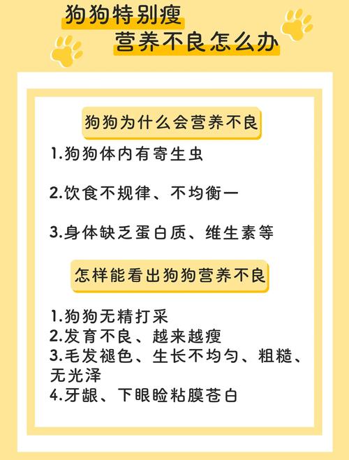 为什么说狗狗不长肉不长大