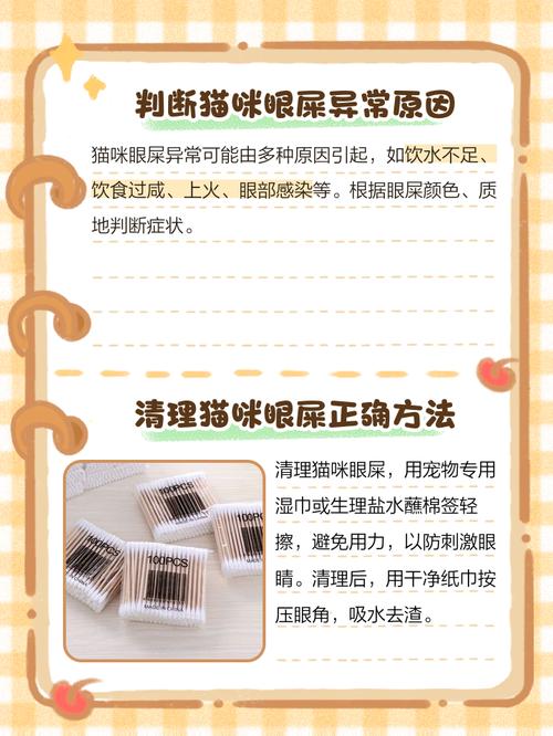 小猫有眼屎怎么处理方法