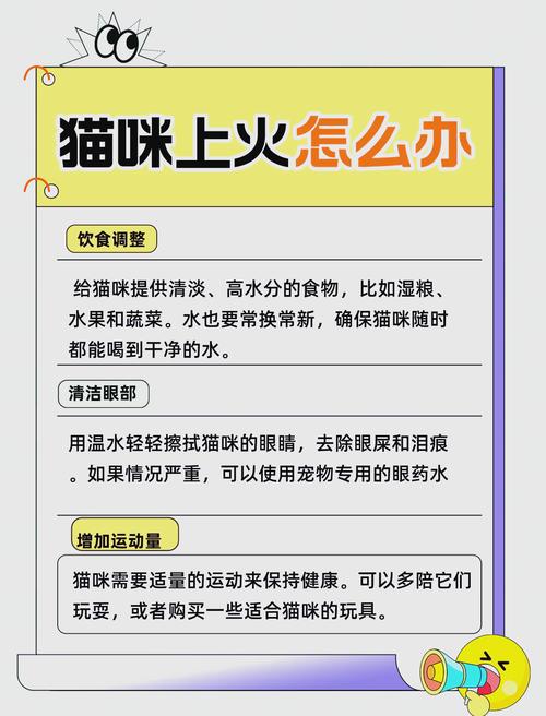 猫咪上火有眼屎怎么办