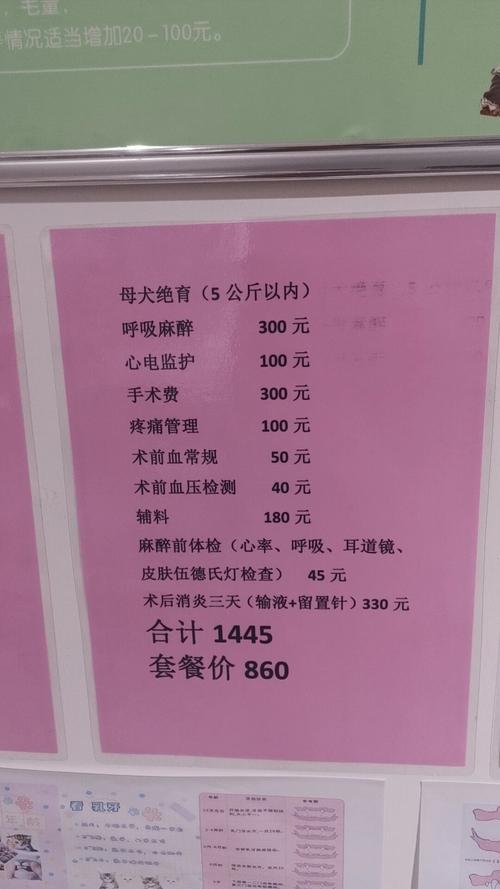 狗狗做绝育手术多少钱
