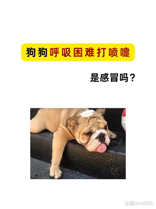 狗狗肠胃感冒的症状