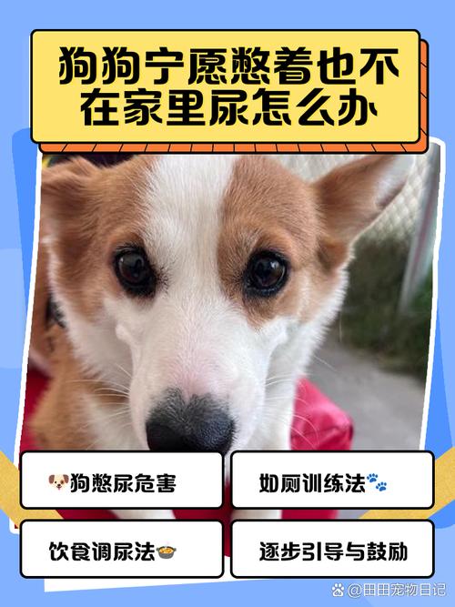 狗狗憋尿,不在家里尿怎么办?