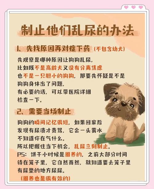 狗狗在家硬憋尿不肯拉怎么办?
