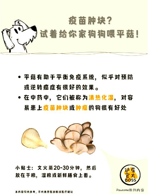 狗狗可以吃平菇吗?