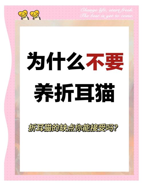 为什么说养猫不要养折耳猫?