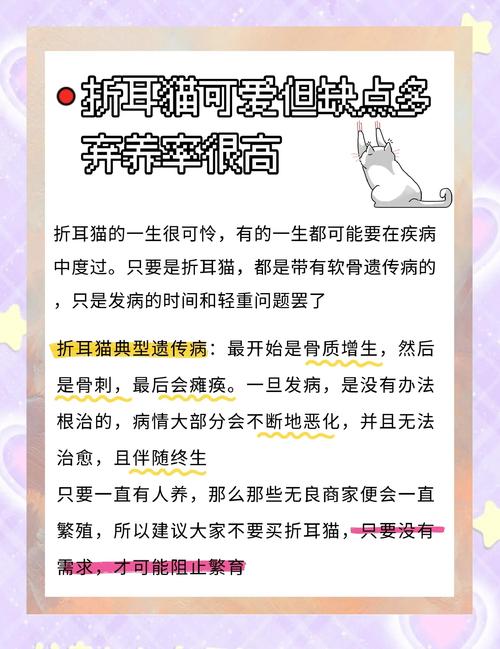 折耳猫的耳朵折起来是因为基因缺陷吗?