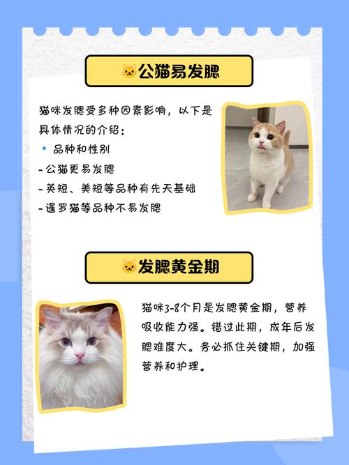猫咪发腮的2个条件和3个技巧