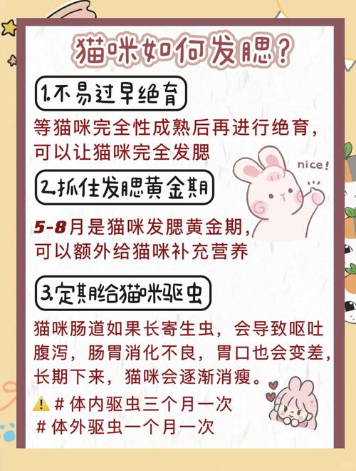 什么叫猫发腮?如何让猫发腮?