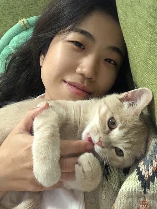 没出过门的猫咪跑丢了怎么办还能找回来吗