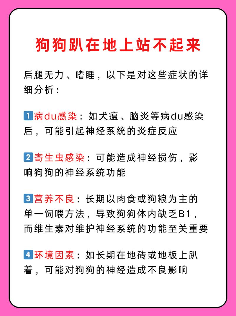 狗狗病好了为什么老想睡觉