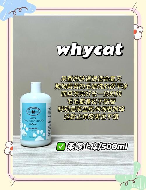 什么能临时代替狗狗沐浴露