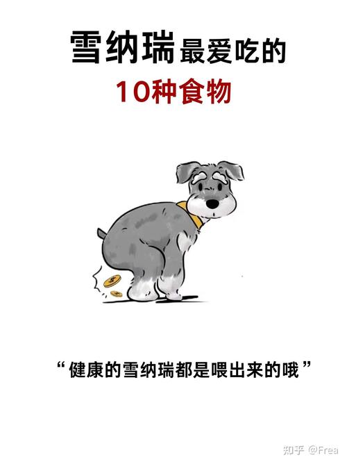 雪纳瑞可以吃什么零食