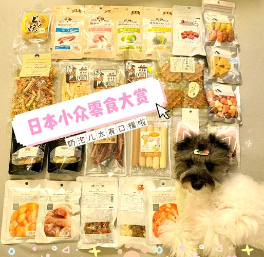 狗狗可以吃什么人类的零食