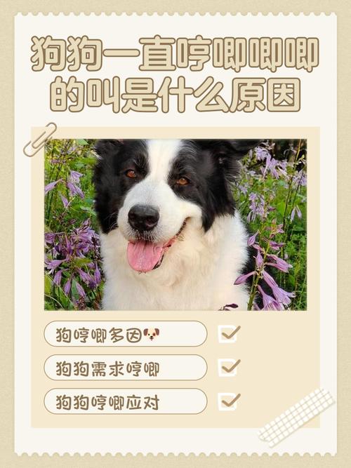 狗一直哼哼唧唧的叫怎么办