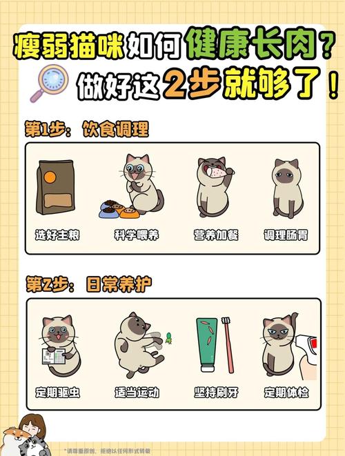 猫太瘦了怎么办