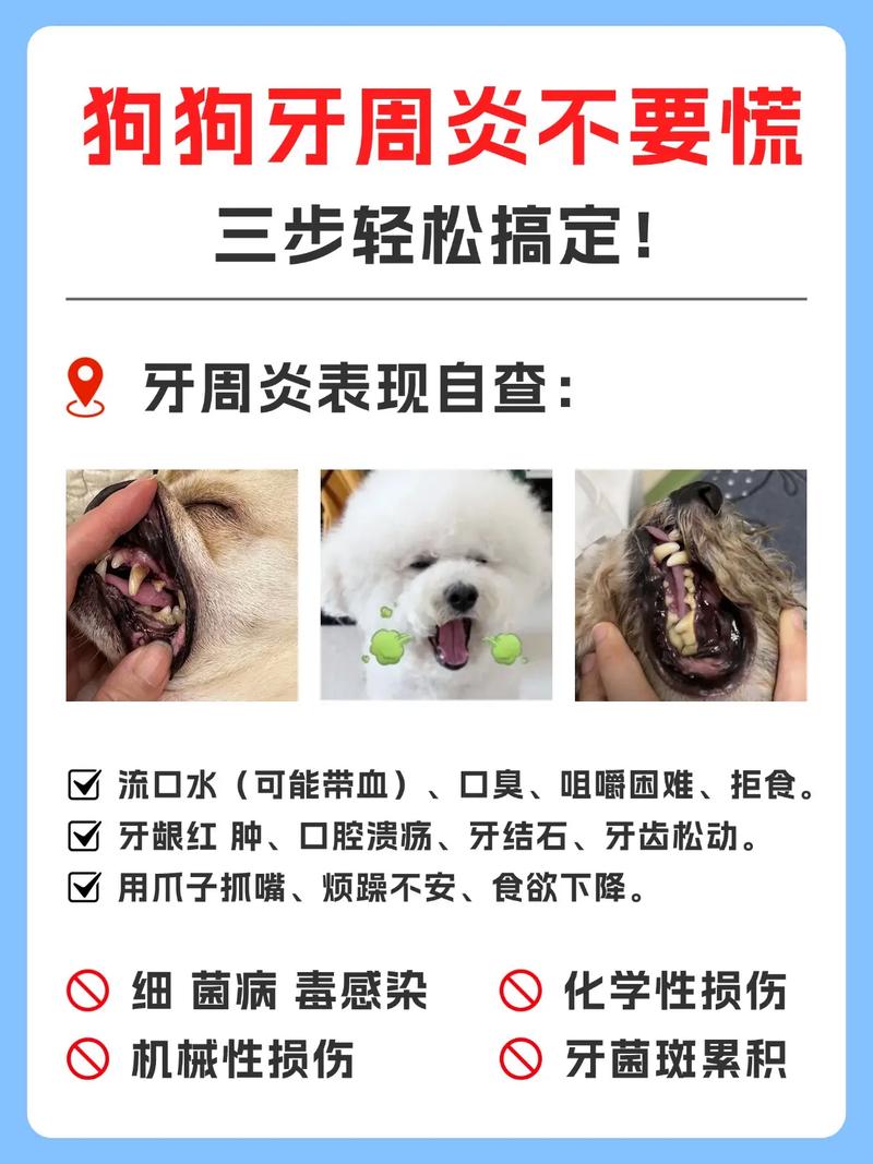 狗狗为什么半边脸肿