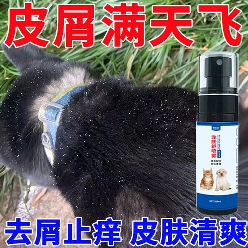 狗狗身上痒一直挠怎么办痒还有黑色点点