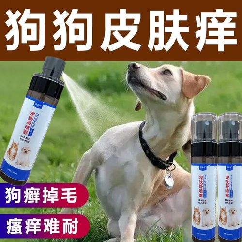 狗狗身体痒,一直挠怎么办