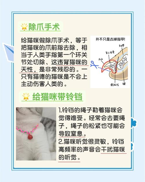 猫咪戴铃铛有什么影响吗?