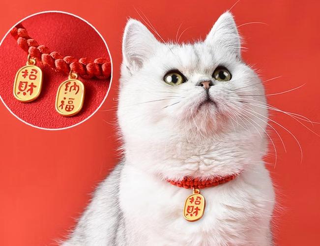 为什么不建议给宠物猫挂铃铛?