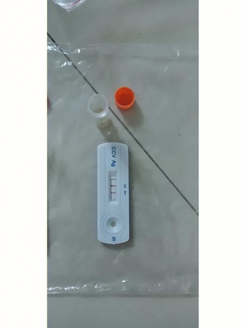 狗狗弱阳性冠状严不严重能治好吗