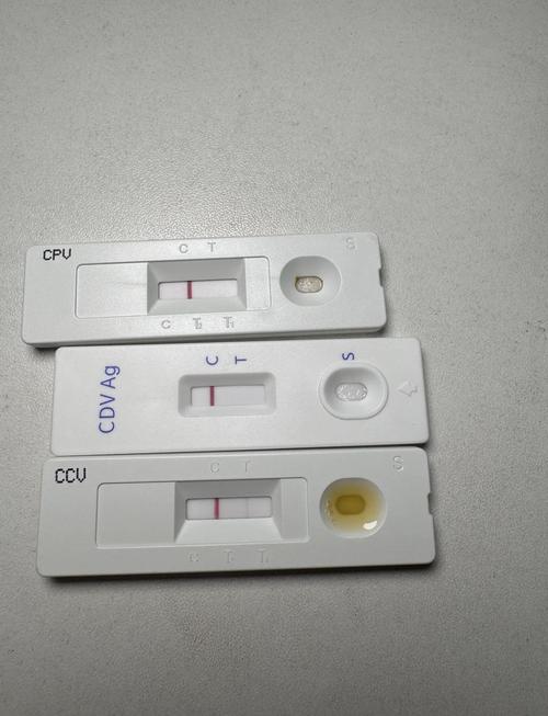 两个月的狗狗犬冠状病毒,能治好么