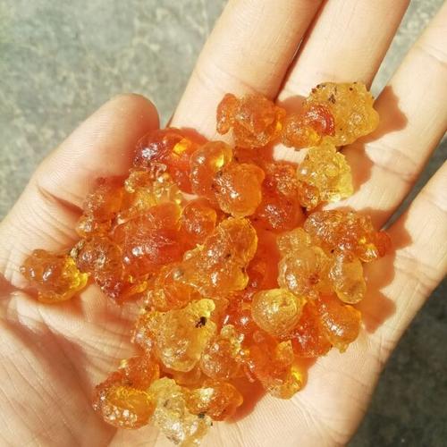 狗狗可以吃桃胶吗?