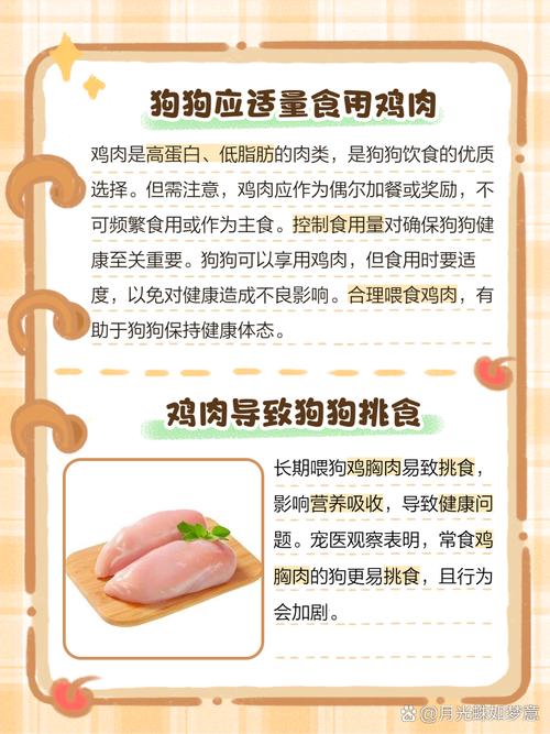为什么不可以给狗狗吃鸡肉