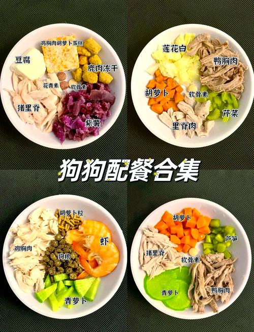 为什么狗狗不能随便吃鸡肉