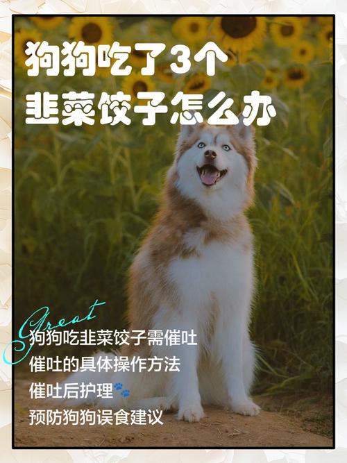 狗狗能吃韭菜鸡蛋饺子吗