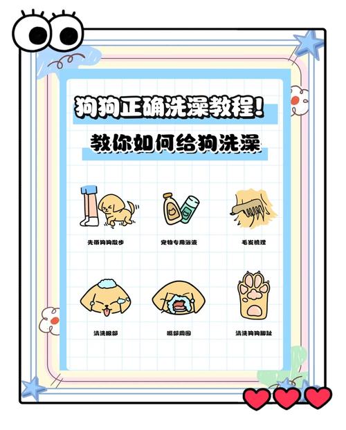 给狗狗用肥皂洗澡,需要注意哪些事项?