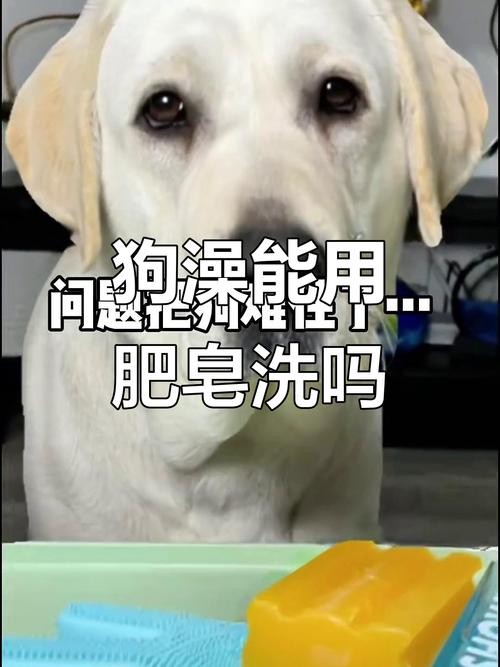 可以用人用的肥皂给狗狗洗澡吗?