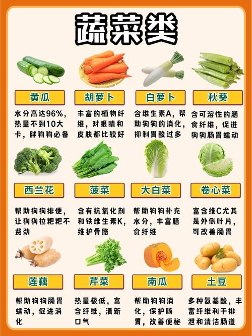 狗可以吃豆腐脑吗?为什么?