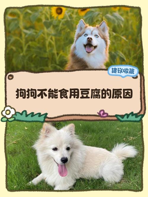 小狗吃了豆腐脑怎么办?