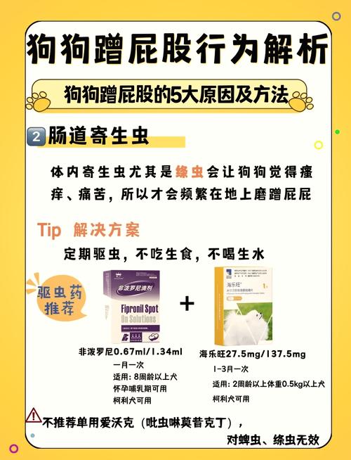 为什么狗狗磨屁股怎么办