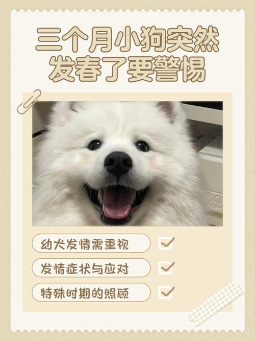 狗子几个月刚开始发春