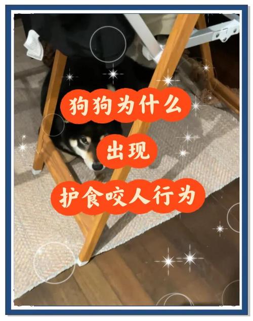 狗护食咬主人还有救吗