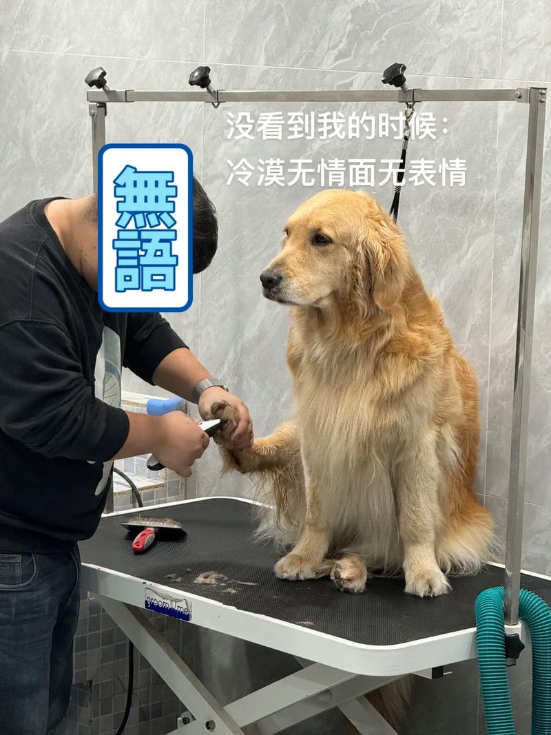 小狗狗两三天洗澡应该没事吧