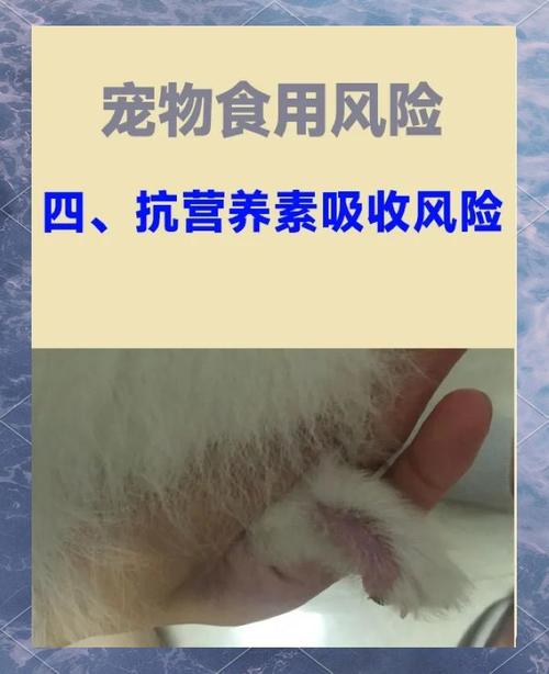 狗狗吃了煮熟的蛋白怎么办