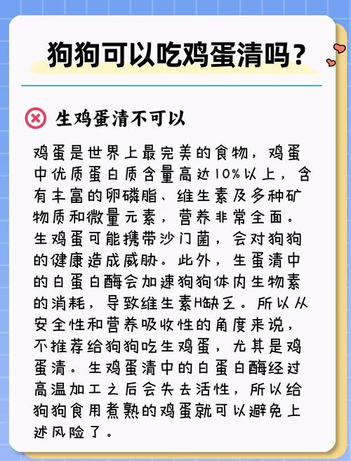 狗狗吃多了蛋白会怎样