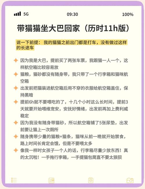坐长途汽车可以带猫吗?