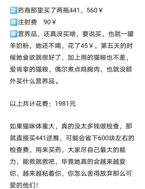 给猫做一次全面体检大约需要多少钱呢?