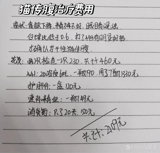 猫咪难产去医院大概多少钱