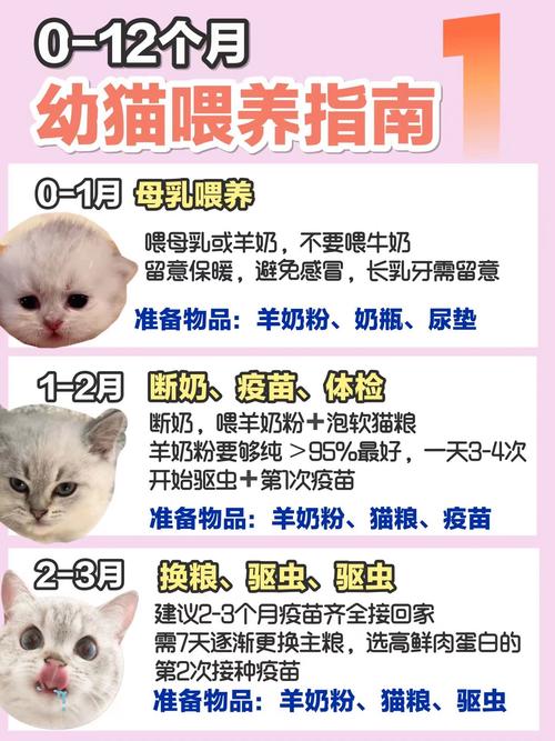 猫咪绝育后能喝羊奶粉吗