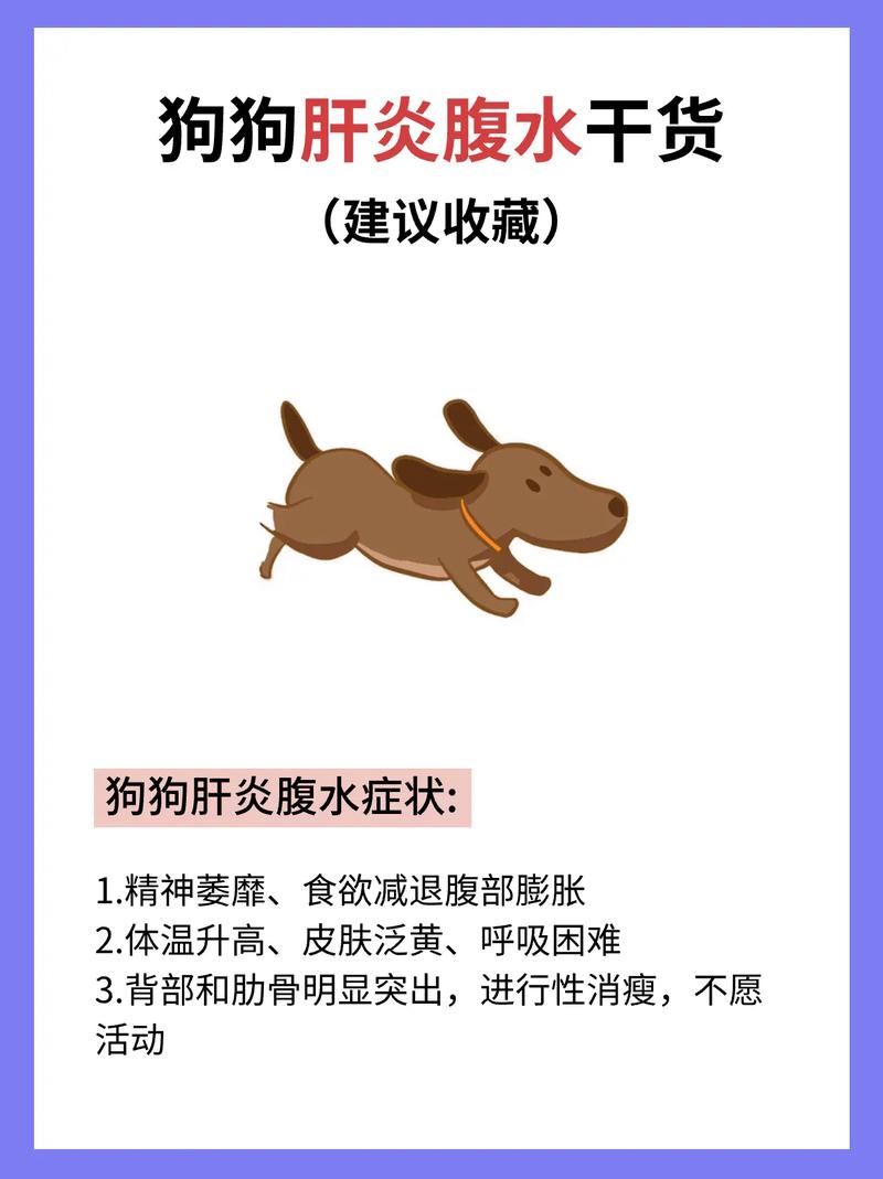 博美吃了一小块生扁豆怎么办?