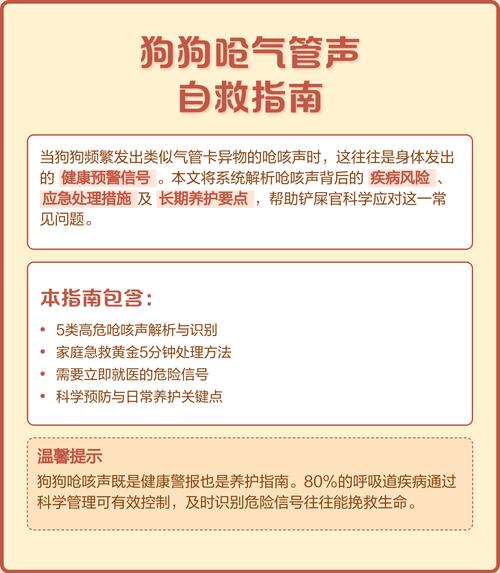 狗狗办水呛到怎么办???