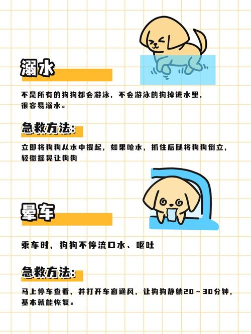 狗狗呛水怎么办?