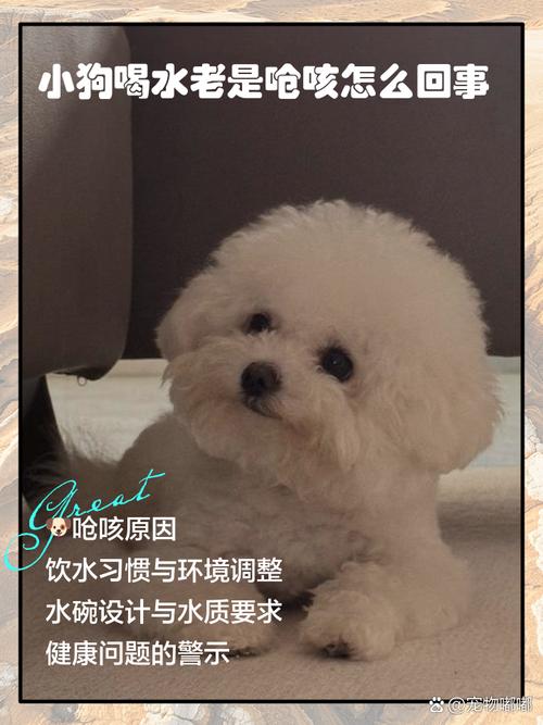 ...就会一边咳一边呛出来,喝水也会呛到,应该怎么办?