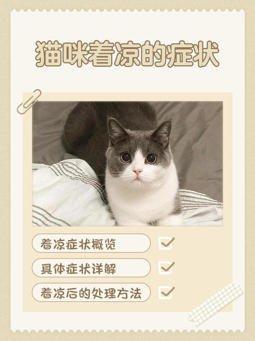 小猫受凉会有什么症状