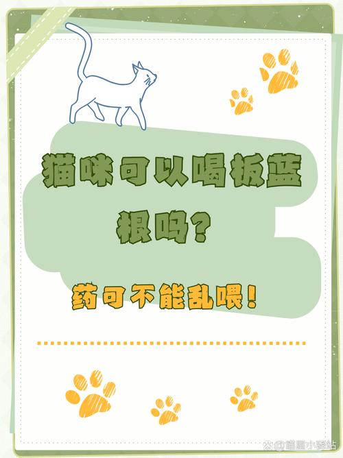 猫咪可以喝板蓝根吗?